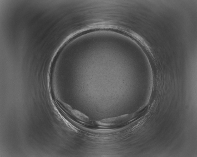 X0000084561334200702231222
