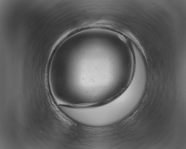 X0000084561336200702231222