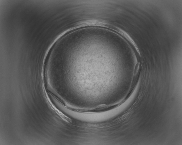 X0000084561339200702231222