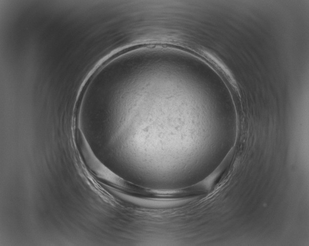 X0000084561340200702231222