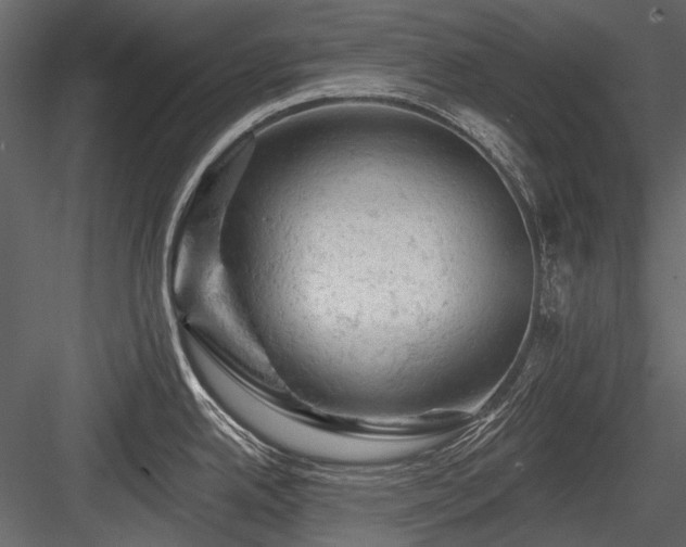 X0000084561342200702231222