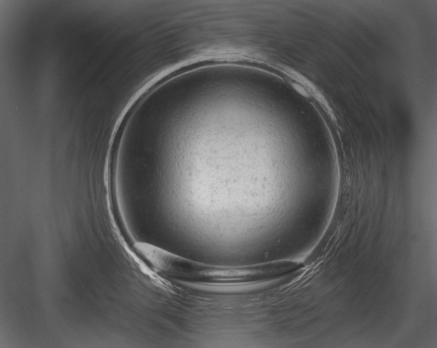 X0000084561343200702231222