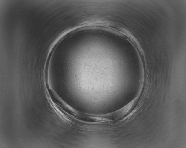 X0000084561344200702231222