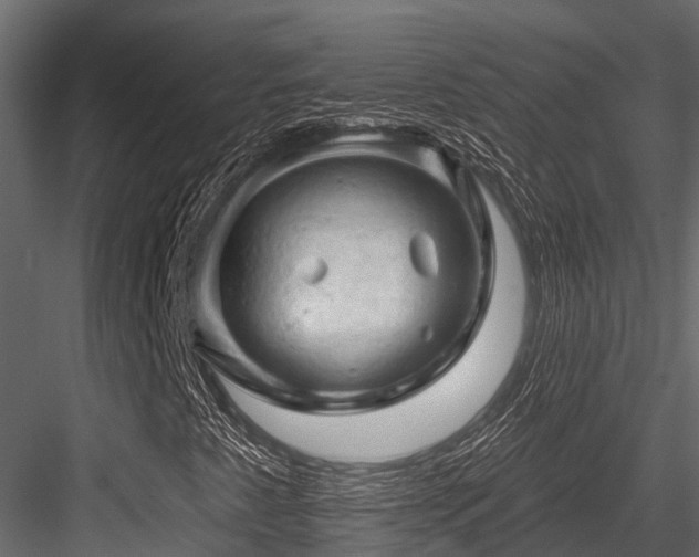 X0000084561345200702231221