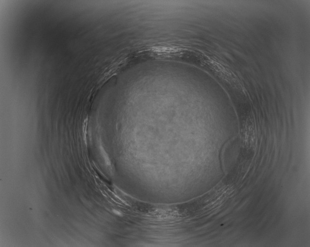 X0000084561346200702231221