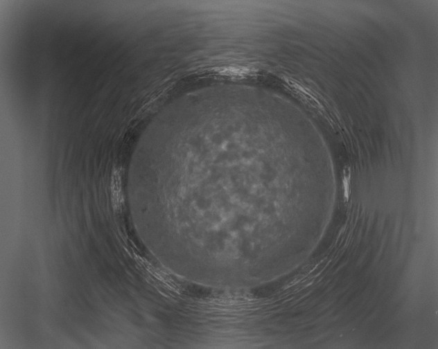 X0000084561347200702231221