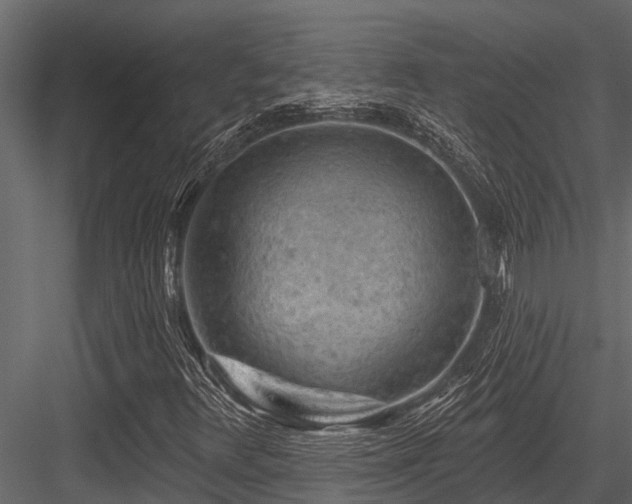 X0000084561348200702231221