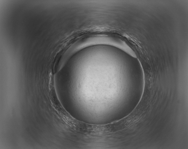 X0000084561349200702231221