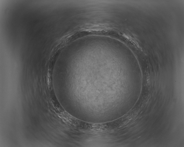 X0000084561350200702231221