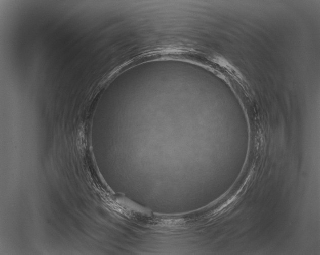 X0000084561353200702231221