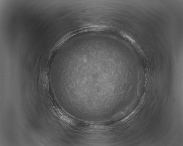 X0000084561354200702231221
