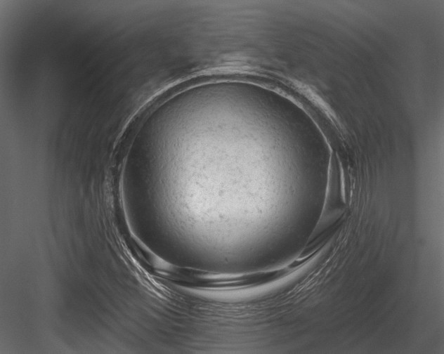 X0000084561356200702231221