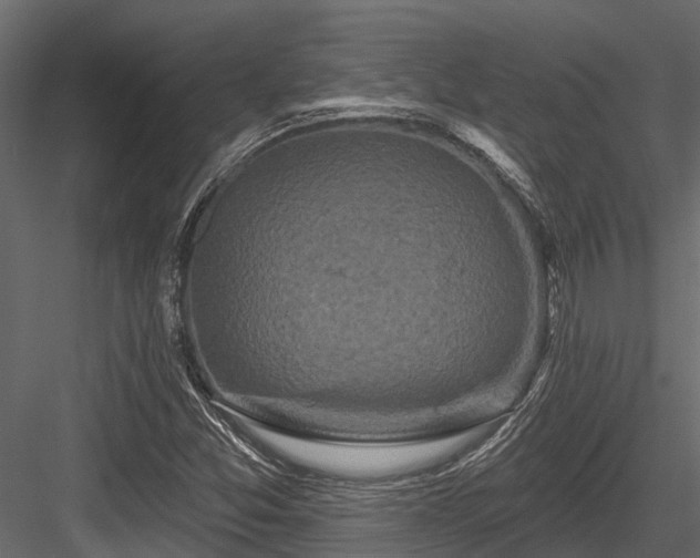 X0000084561357200702231221