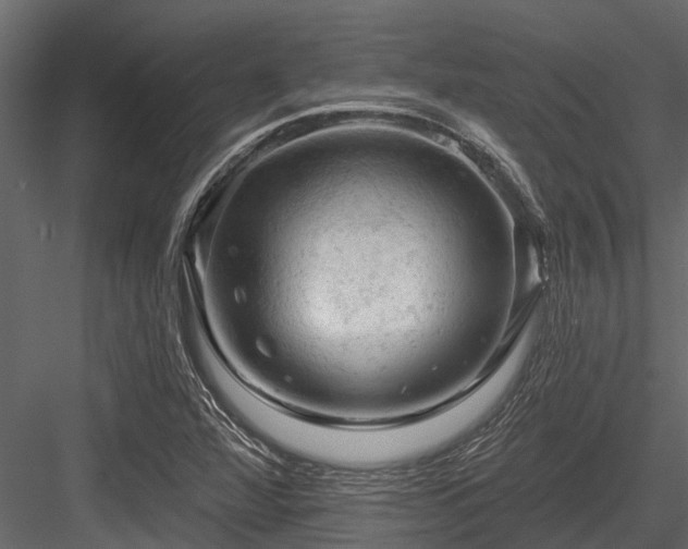 X0000084561360200702231221