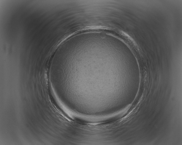 X0000084561361200702231221