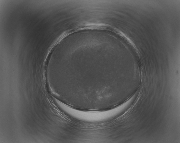 X0000084561362200702231221