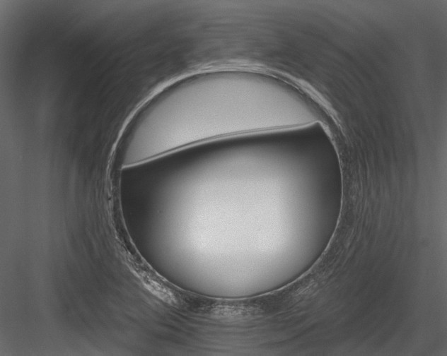 X0000084561364200702231221