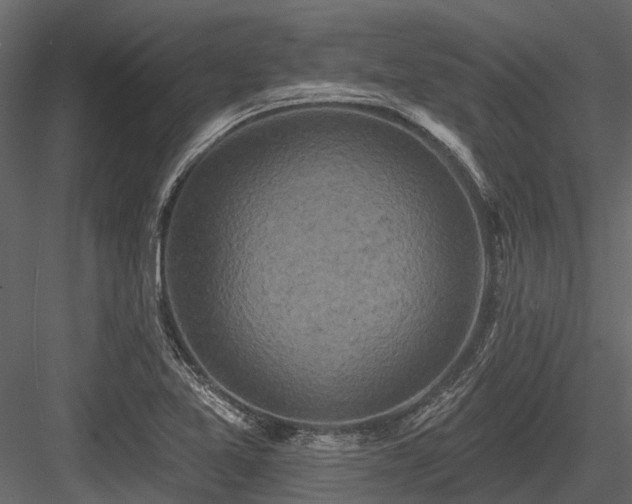 X0000084561365200702231221