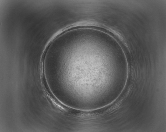 X0000084561366200702231221