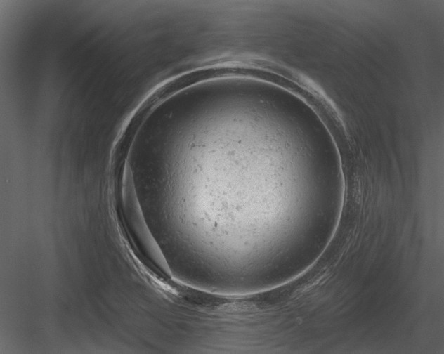 X0000084561368200702231221
