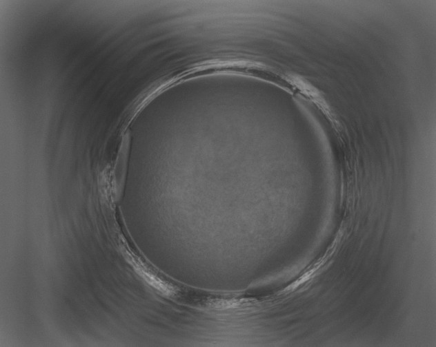 X0000084561369200702231221
