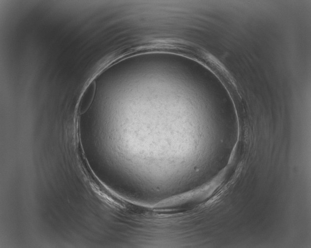 X0000084561370200702231220