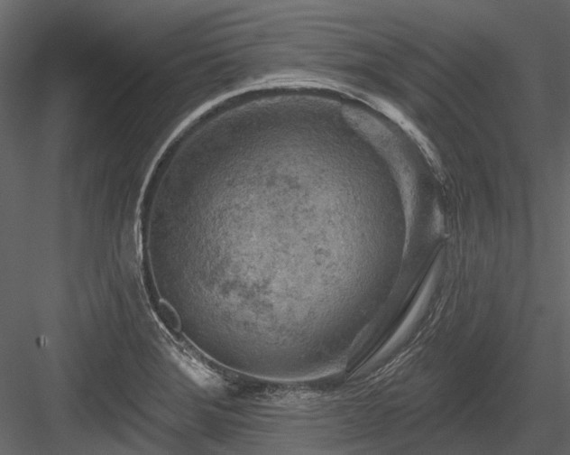 X0000084561372200702231220