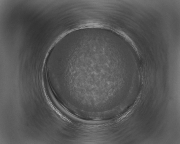 X0000084561373200702231220