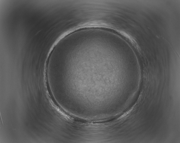 X0000084561374200702231220