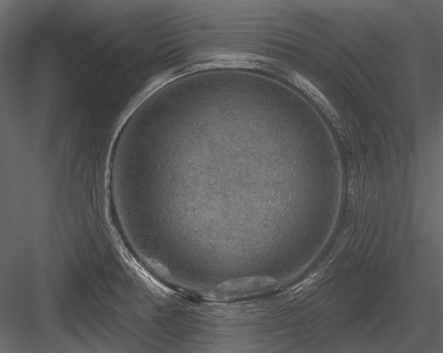 X0000084561378200702231220