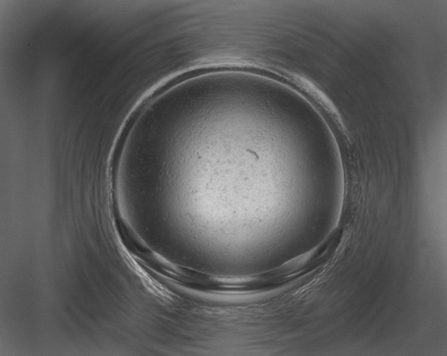 X0000084561380200702231220