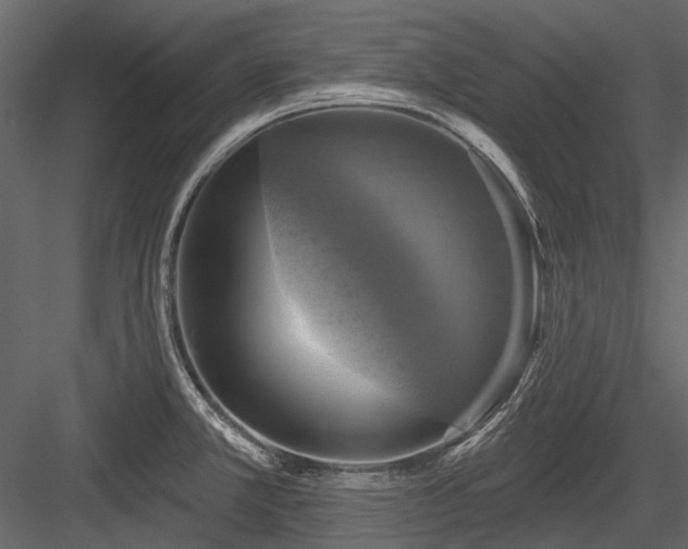 X0000084561381200702231220