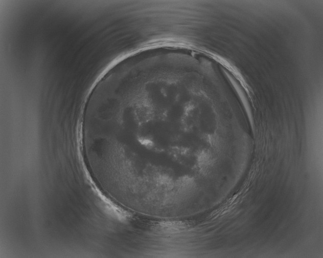 X0000084561383200702231220