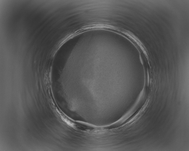 X0000084561385200702231220