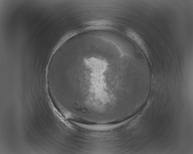 X0000084561386200702231220