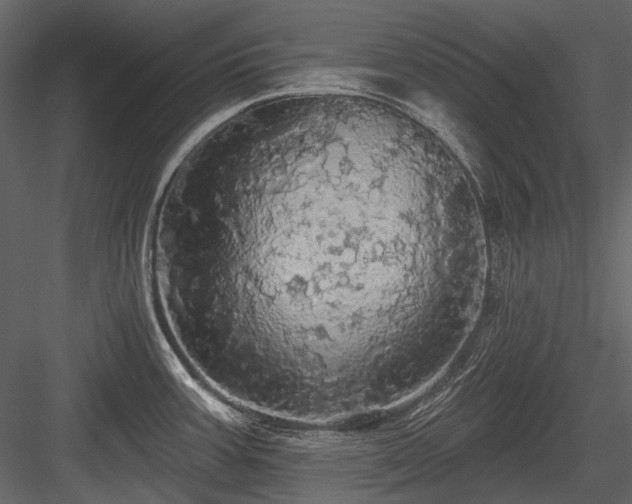 X0000084561387200702231220