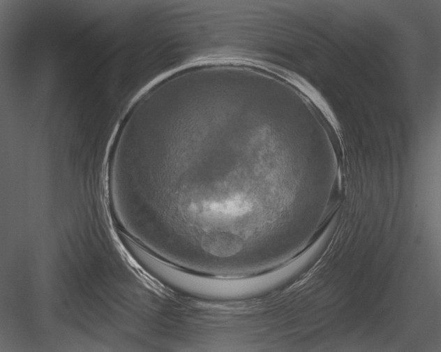 X0000084561388200702231220