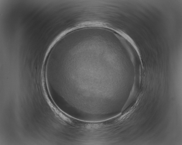 X0000084561389200702231220