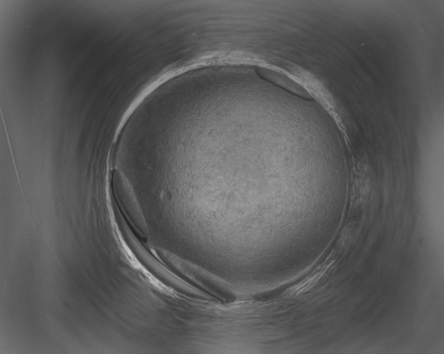 X0000084561390200702231220