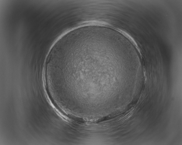 X0000084561391200702231220