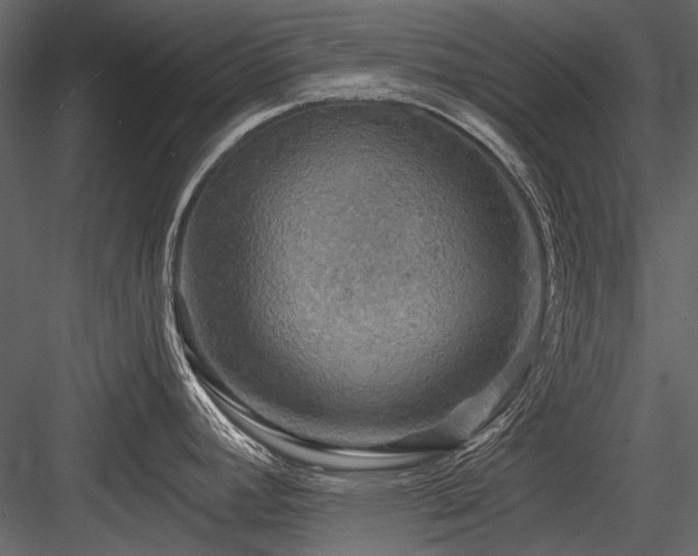 X0000084561392200702231220