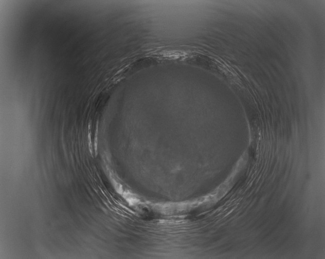 X0000084561394200702231219