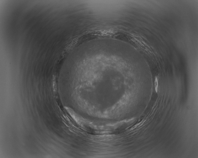 X0000084561395200702231219