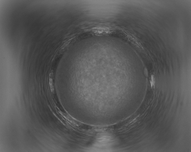 X0000084561396200702231219