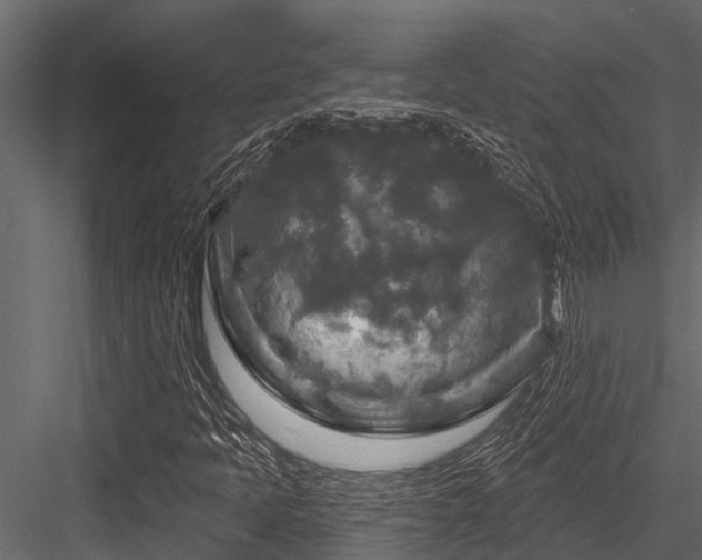 X0000084561397200702231219
