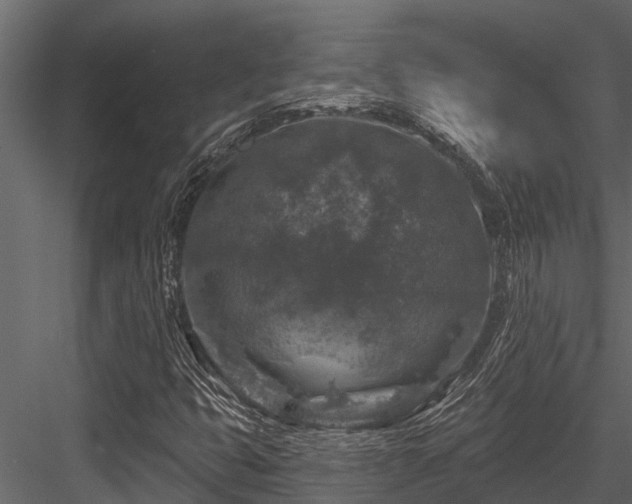 X0000084561399200702231219