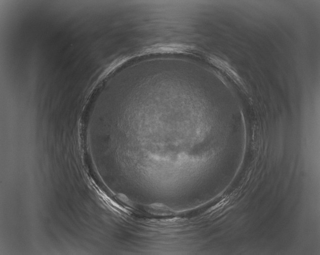 X0000084561404200702231219