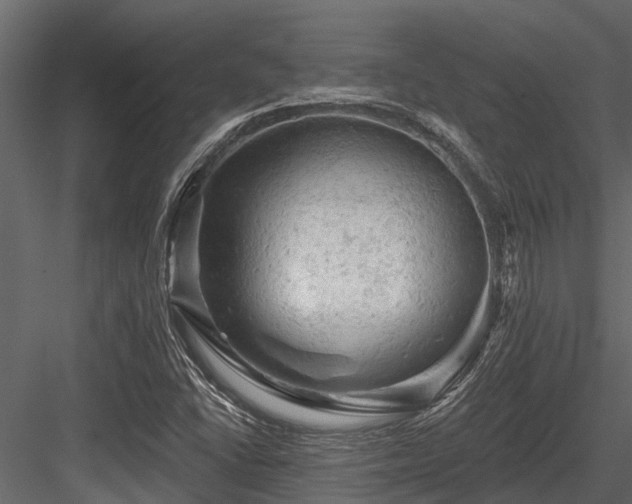 X0000084561406200702231219