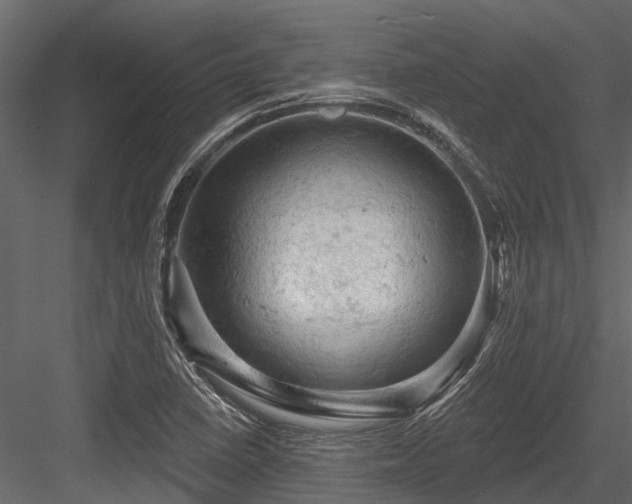 X0000084561410200702231220