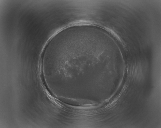 X0000084561413200702231220